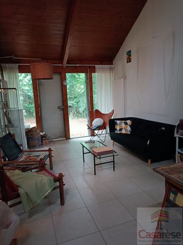 photo no. 2