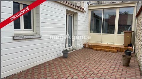 photo no. 8