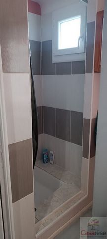 photo no. 2