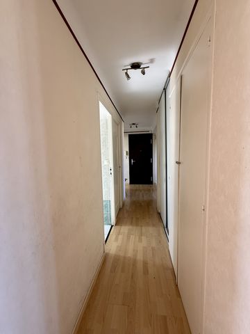 photo no. 8