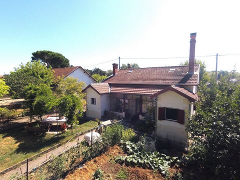 photo no. 14