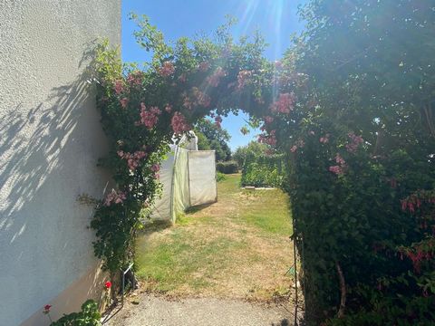photo no. 15