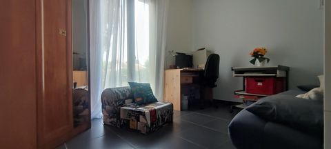 photo no. 8