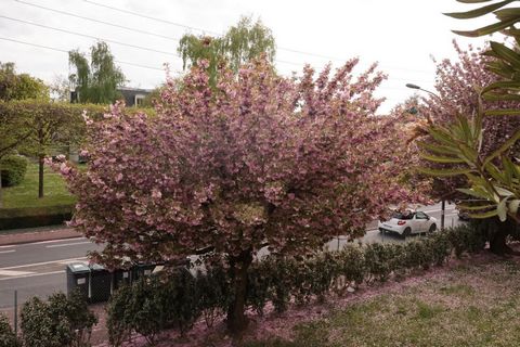 photo no. 10