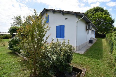 photo no. 12