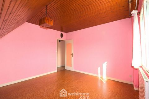 photo no. 13