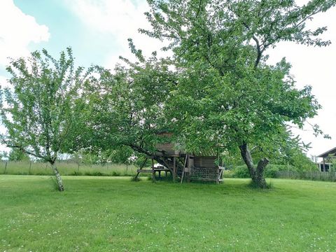 photo no. 9