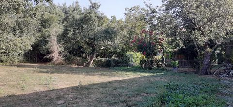 photo no. 25