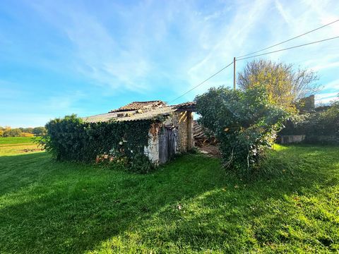 photo no. 16