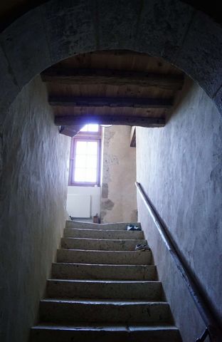 photo no. 5