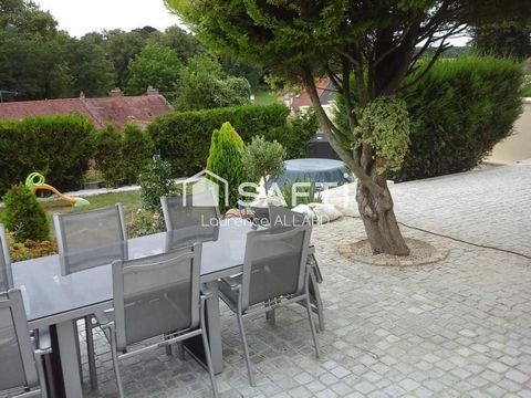 photo no. 12