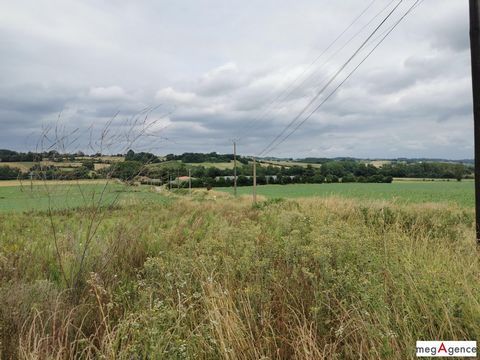 photo no. 2