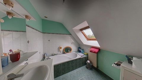 photo no. 5