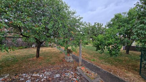 photo no. 14