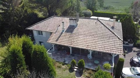 photo no. 2