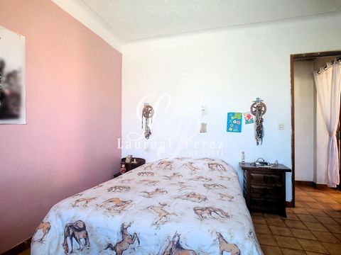 photo no. 17