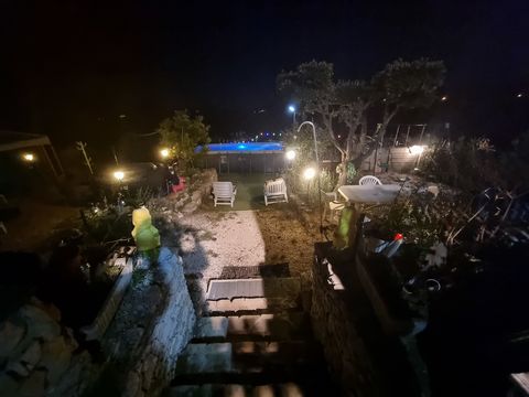 photo no. 3