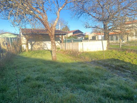 photo no. 11