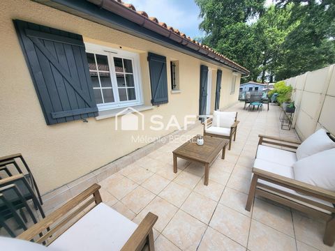 photo no. 13