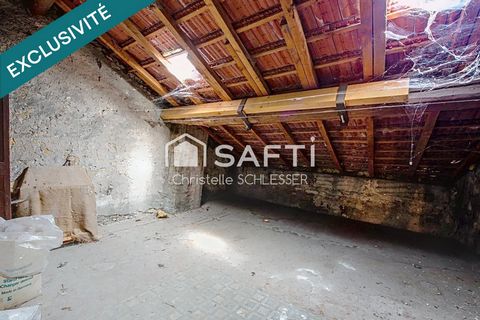 photo no. 15