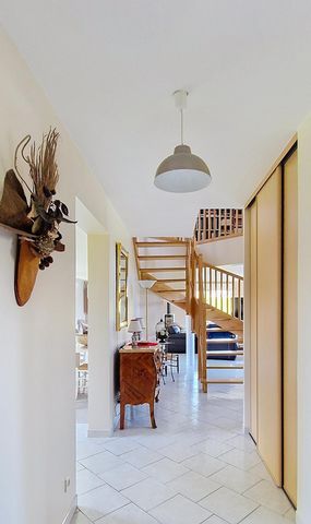 photo no. 13