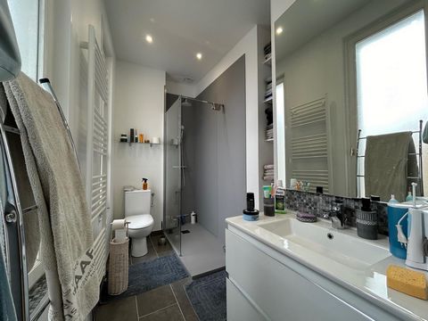 photo no. 11