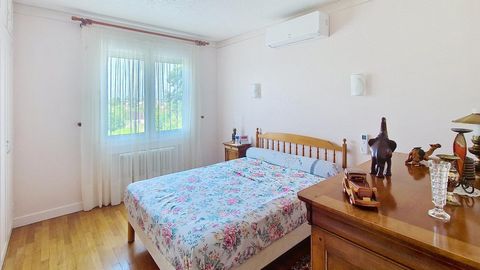 photo no. 6