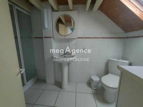 photo no. 10