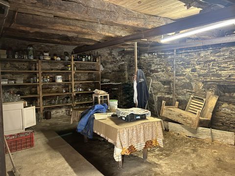 photo no. 15