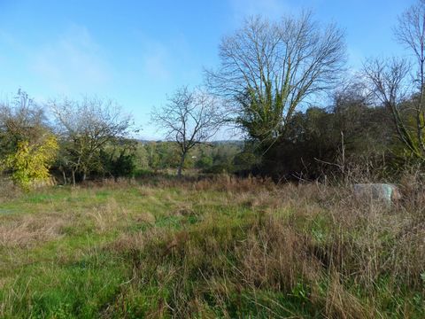 photo no. 8