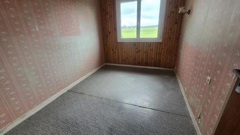 photo no. 11