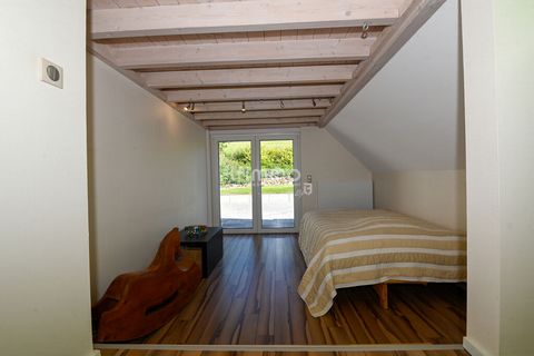 photo no. 12