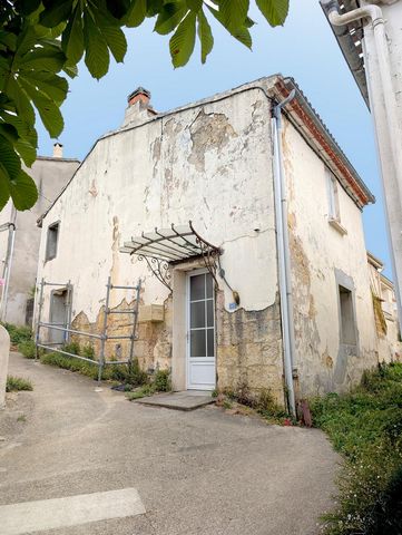 photo no. 5