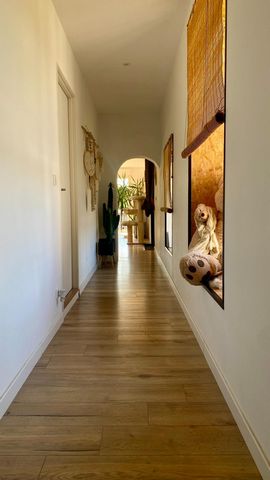 photo no. 13