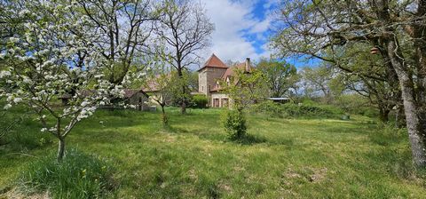 photo no. 2