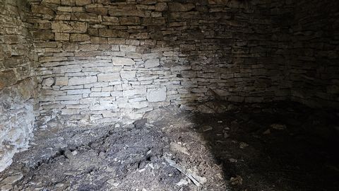 photo no. 5