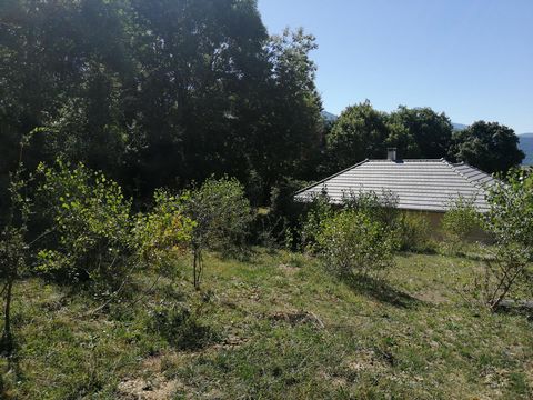 photo no. 7