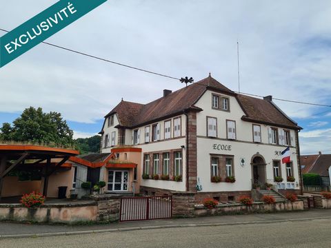 photo no. 6