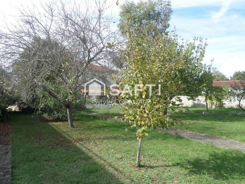 photo no. 2