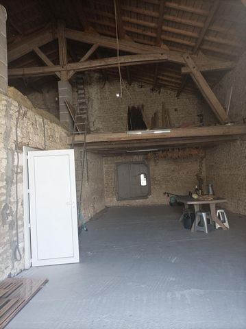 photo no. 6