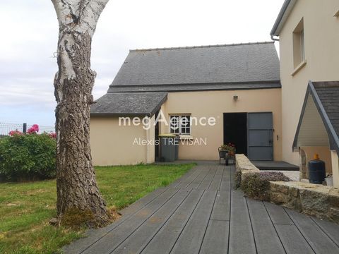 photo no. 11