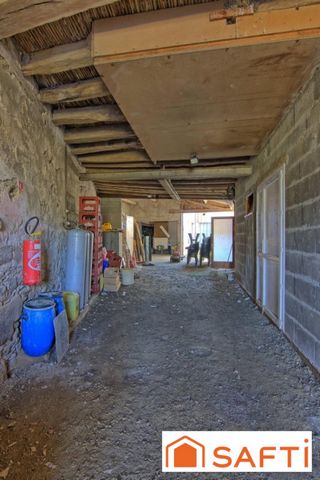 photo no. 12