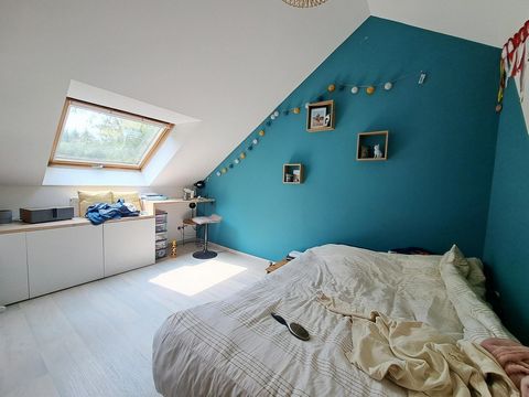 photo no. 7