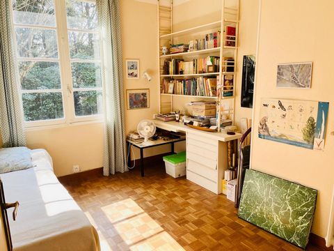 photo no. 11