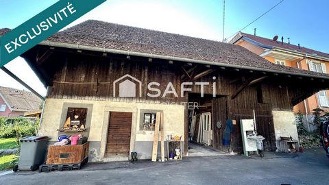 photo no. 11