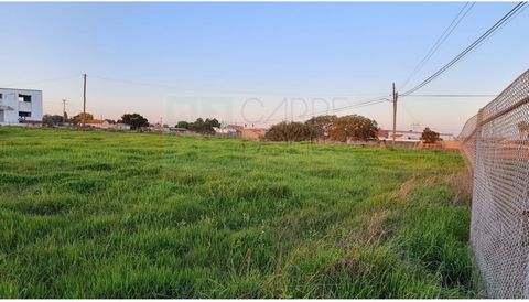 The property is in Samora Correia on the 'Estrada da Malhada dos Carrascos', with access by tarmac road. Urban land with 5000m2 that can be considered totally urban and with a construction index of 40% occupancy and 60% land use index, with a maximum...