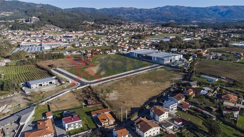 NEW pavilion under construction, Figueiredo. - Lot Area (1): 5.538m2 - Deployment area: 2,500m2 - Gross Construction Area: 2,600m2 - Right foot: 7.5m apx. Space for industrial activity, inserted in a new Industrial Park, with new and good access and ...