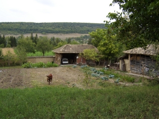 Price: £12,000.00 District: Popovo Category: House Plot Size: 1470 sq.m. Location: Countryside The house consists of Summer Kitchen Dining room /lounge Kitchen WC Main House 1 Bedroom 2 Bedroom is a double room Hall way At the end of the hall is a ro...