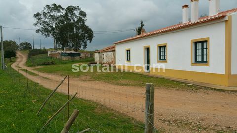 Charming Villa Alentejo style, consisting of five bedrooms. The house consists of generous spaces, with a panoramic view of the countryside, quiet and cozy. Just fifteen minutes from Serpa town. Serpa is a Portuguese city belonging to the District of...