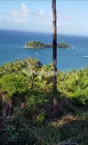 This land is next to the one of the most expensive resort in the area, the Hacienda Samana Bay, obverlooking the ocean, where people will see cruises passing and all the beautiful yatches and boats. This land can develop condo project or villas.